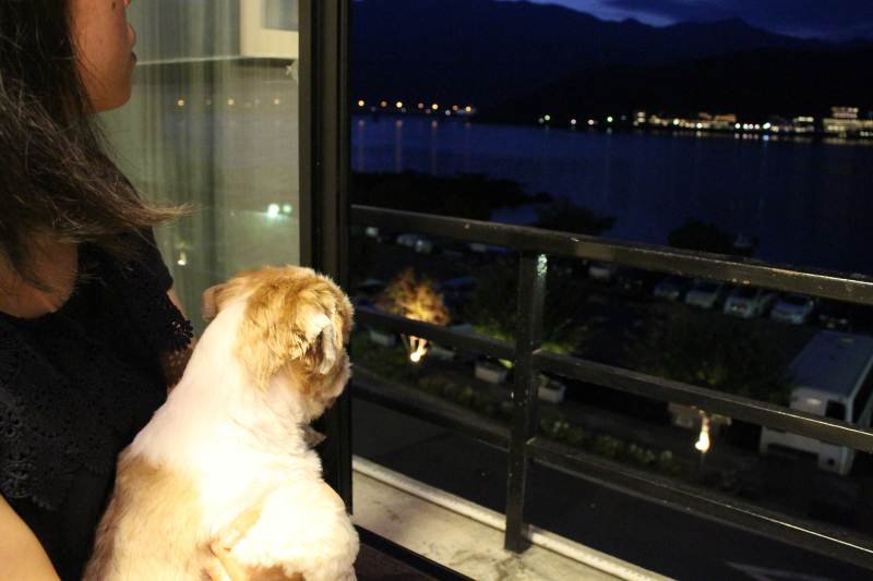 愛犬ぱっちゃんとぴのりが旅行先で夜景を観ている