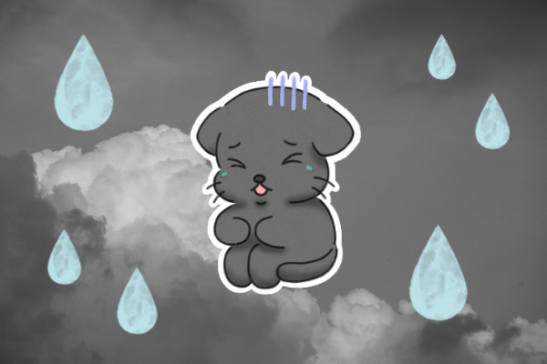 不安でいっぱいのHSPクロにゃん